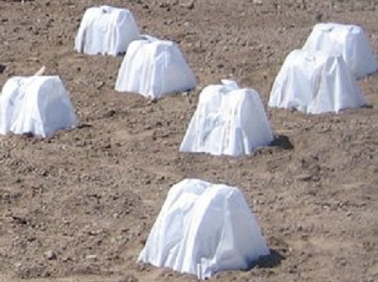 Item No. 1015 Tent "Hot Caps" , translucent paper, wire, 500 pack Wax