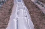 Item No.132,  6 ft. X 1,000 ft Low Tunnels Hoop-Supported Clear "Punched" Row Cover