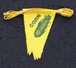 Banners/Pennants/Flags