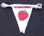 Item No.324  "Strawberry" Indoor/Outdoor Pennant