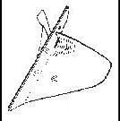 Furrower, wheel hoe, Item No. 674