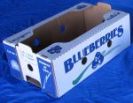 #859  Large Clam Shell Till Shipper, "Blueberries", 500 pack