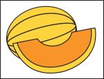 #P26CAN Cantaloupe Marketeer