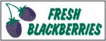 #P8BKBFRHD "Fresh Blackberries" Heavy Duty 3 ft x 8 ft Banner