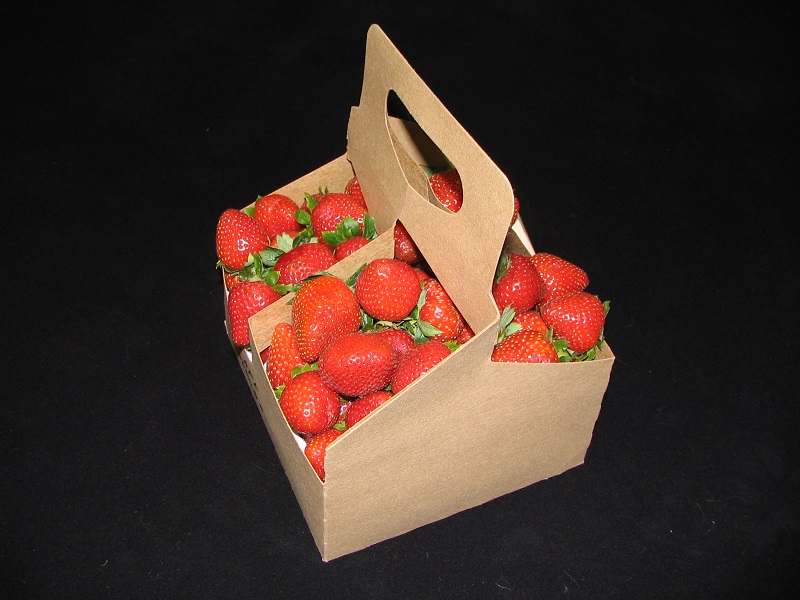 Item No 1016 Berry/Fruit/ Handle Field Container, 1 1/2 Quart, 200 pack
