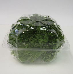 Item No 1037 Quart Hydroponic Lettuce/Herb Hinge Container, 500 pack