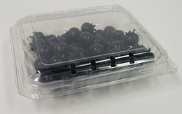 Item No. 1042,  4.4 oz Clam Hinge Cover Till. Clear Plastic, 552 pack
