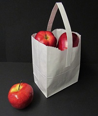 Item No 1070 5 pound White Paper Tote Bag 500 pack