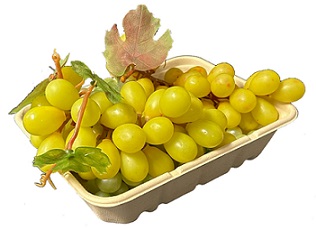 Item No 1117: 1.5 Quart Tray/Till, Compostable 200 pack