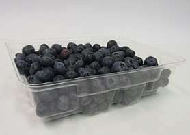 Item No. 1164:  1 1/4 Quart clear Plastic Tray, 1,000 pack