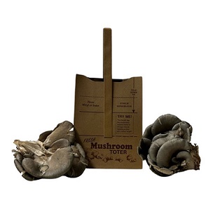 Item No 1194 Bag Mushroom, 1/4 Peck Paper Brown Kraft, 500 pack
