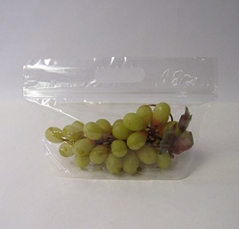 Item No 1231 2 Qt Clear Vented Bag, 500 Pack