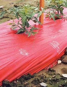 Item No 125   Red Plastic Mulch, 4 ft x 2,400 ft, 1.25 Mil. Film