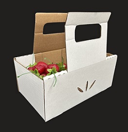 Item No 1299 4 Quart White Kraft Box with Handle, 350 Pack