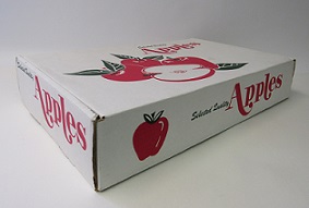Item No 1309  Single Layer Apple Gift Box 25 Pack