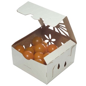Item No 1454  Pint Paperboard Hinge Cover Vented Till, 600 pack