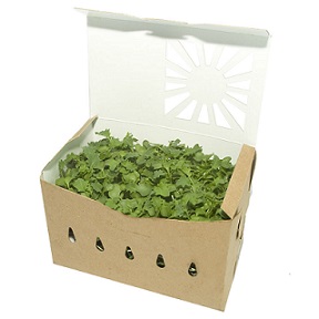Item No 1457  1 1/2 Quart,  paperboard hinge cover vented till, 200 pack