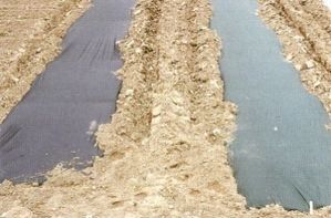 Item No 151  Green Mulch Plastic 4 feet x 2.400 feet (Embossed)