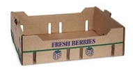 Item No 1551 "Fresh Berries" Master Shipper Carton 825 Pack