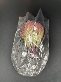 Item No 1621 Vented Lettuce Bag, 1000 pack