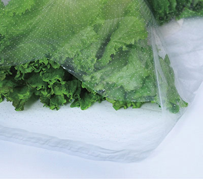 Item No 1627 Microperforated 16" x 20" Bag, 1,000 pack