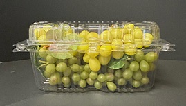 Item No 222 Till 3 1/2 Quart Clam Hinged, Vented, 170 pack