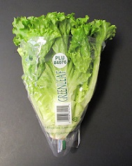 Item No 230  Greenleaf Lettuce Clear Bag,1,000 pack