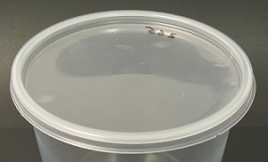 Item No 265 Clear, Microwaveable Lid. 500 pack