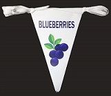 Item No. 320  "Blueberry" Indoor/Outdoor Pennant