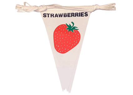 Item No. 324  Strawberry Indoor/Outdoor Pennant