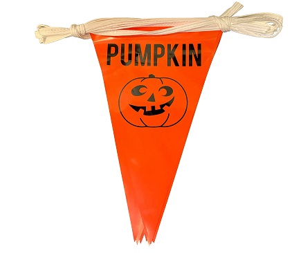 Item No 325  "Jack O Lantern" Pumpkin Indoor/Outdoor Pennant