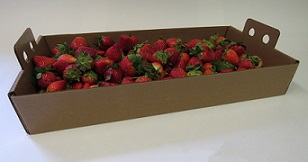 Item No. 422 8 Quart U-Pick, Waxed Berry Tray, finger grip, Tapered Sided, 500 Pack
