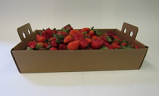 Item No 429 Six Quart U-Pick Berry Tray/Shipper, Waxed Corrugated Tray/Shipper, 500 pack