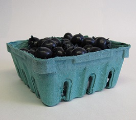 Item No 438   Till 1/2 Pint Pulp Berry Till, green, 600 pack