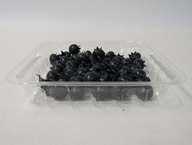 Item No 496  Square Tray, clear plastic 1,000 pack