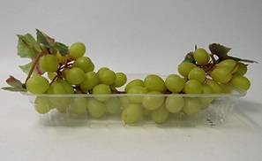 Item No 792  Rectangle Tray, clear plastic, 500 pack
