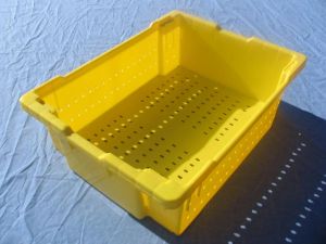 Item No 829 1 1/8 Bushel Harvesting Container, yellow, plastic, vented, 6-pack