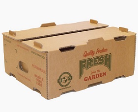 Item No 849,  18 or more pounds Shipper Master, "Fresh Tomatoes"  250 pack