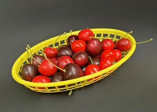 Item No 956 Plastic Food Baskets, 48 pack