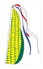  Item No P13CORNKIT  Corn Feather Flag Kit