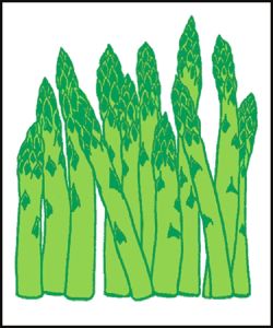 Item No. P21ASP Asparagus Road Sign