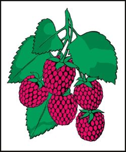 Item No. P21RAS Raspberries Road Sign