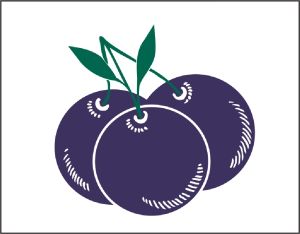 Item No P26BLU Blueberries Marketeer