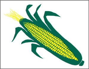 Item No P26CORN Sweet Corn Marketeer