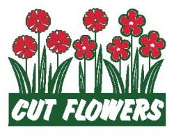 Item P26FLWCUT Cut Flowers Marketeer