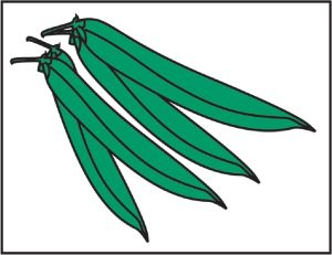 Item No P26GBN Green Beans Marketeer