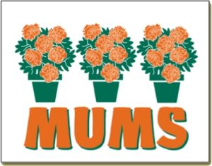 Item No P26MUM  Mums Marketeer