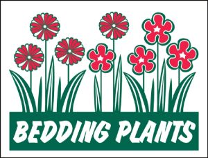 Item No P26PLTBED Bedding Plants Marketeer
