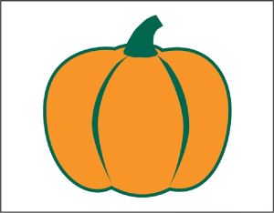 Item No P26PUM Pumpkin Marketeer