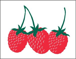 Item No P26RAS Raspberries Marketeer